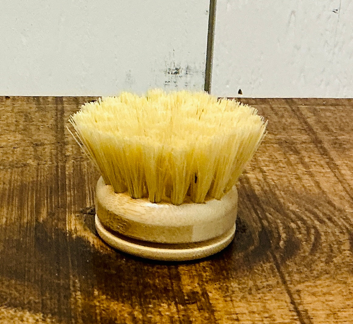 Kitchen Scrub Brush with Extra Replacement Head