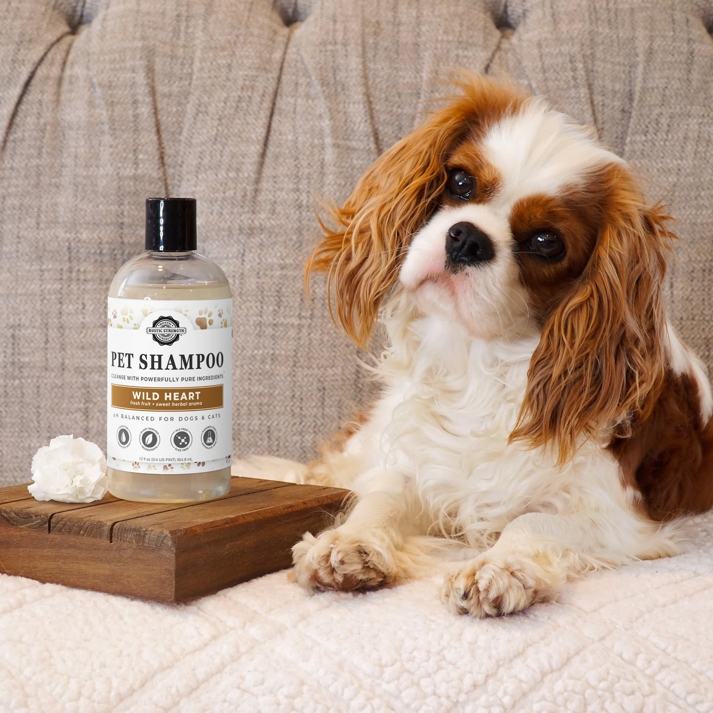 Wild Heart Pet Shampoo by the Ounce