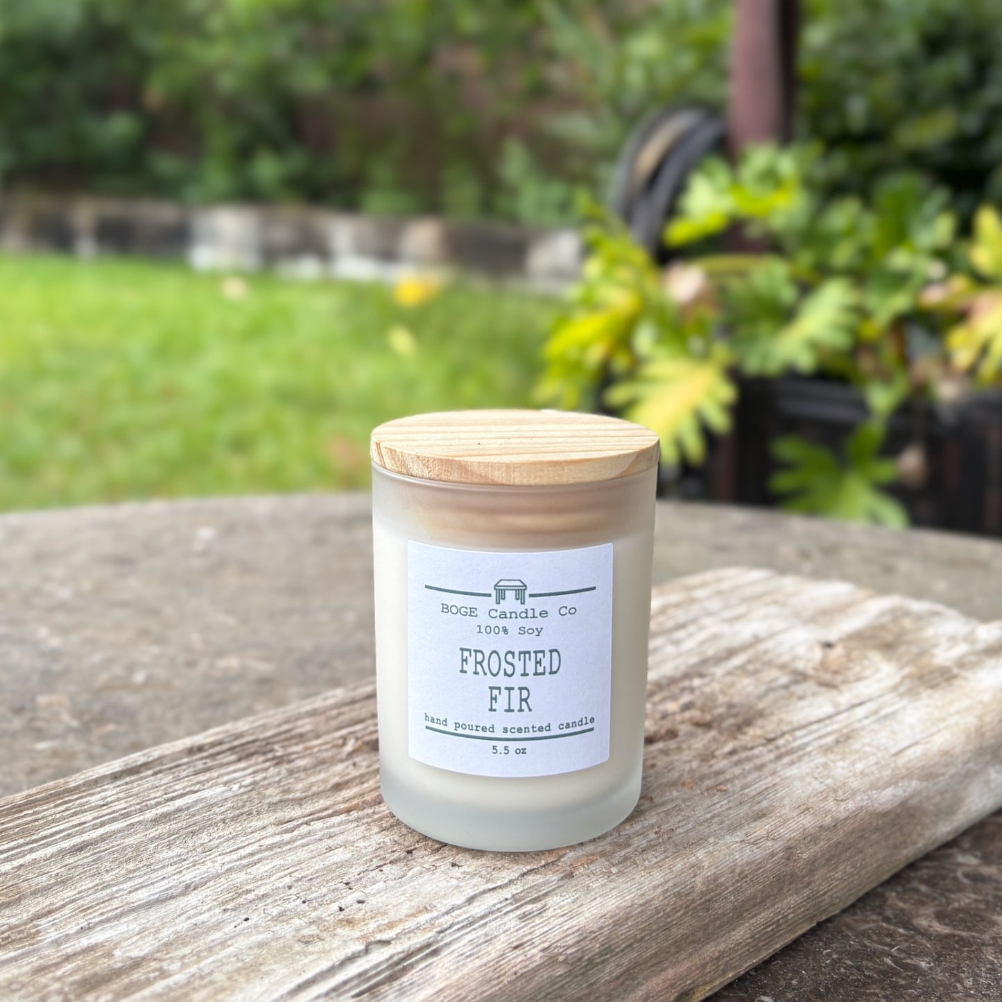 Frosted Fir Soy Candle 5.5 oz
