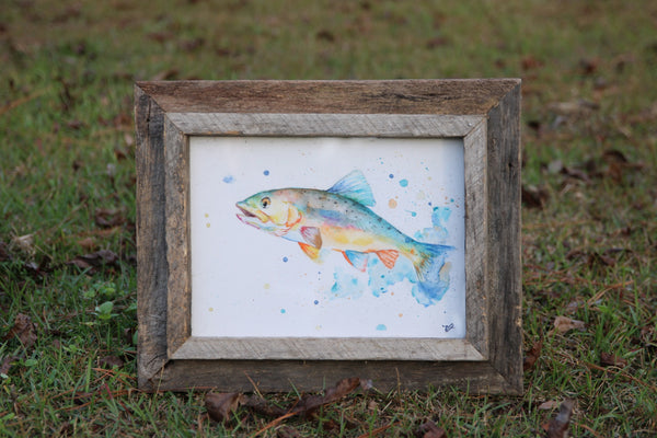 Watercolor Spotted Sea Trout 