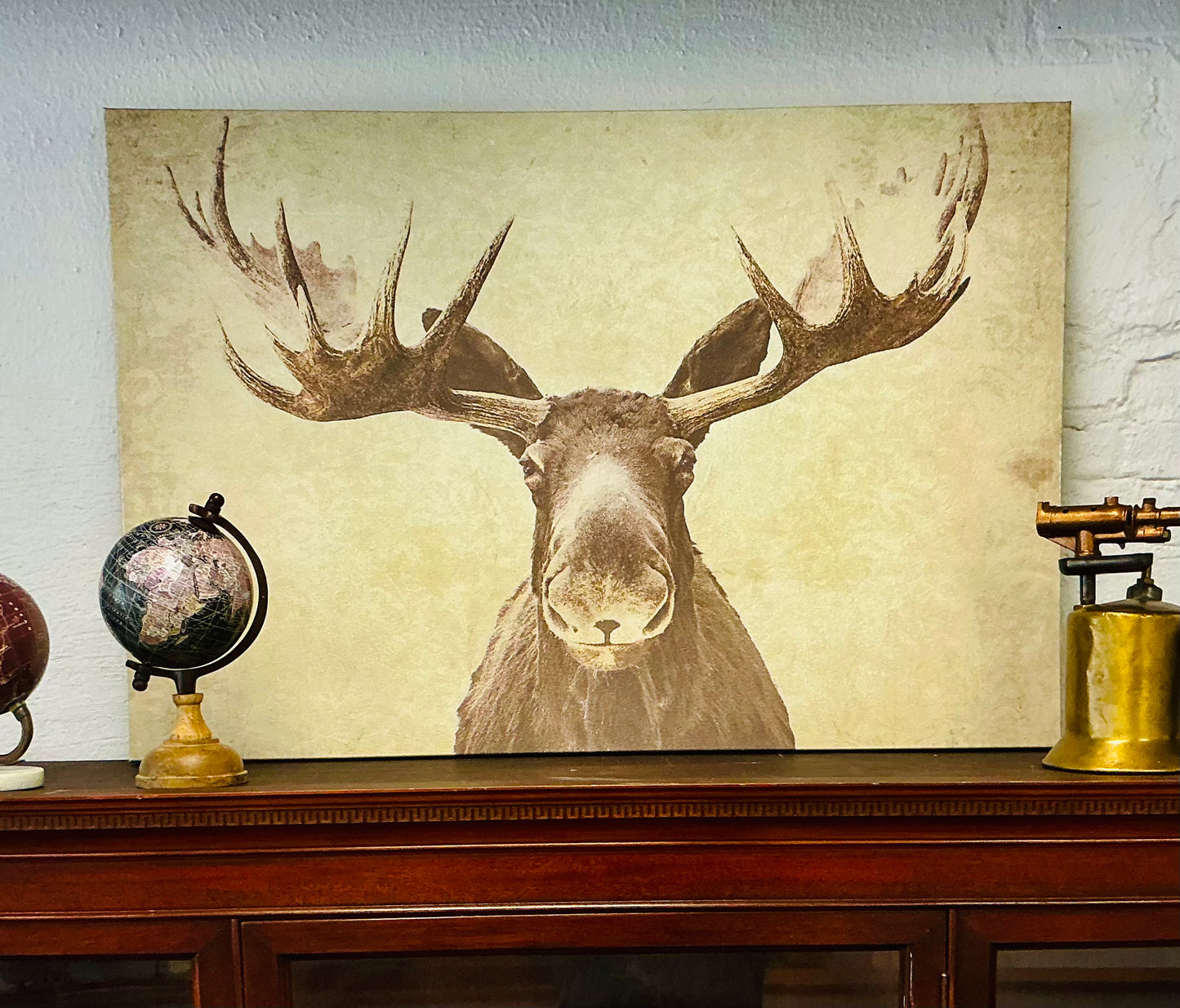Large Moose Picture
