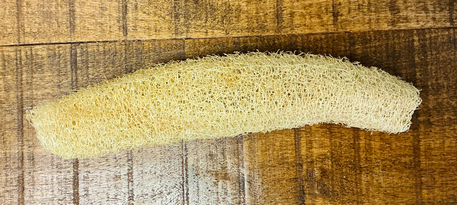 Small Plant Based Loofah Sponges