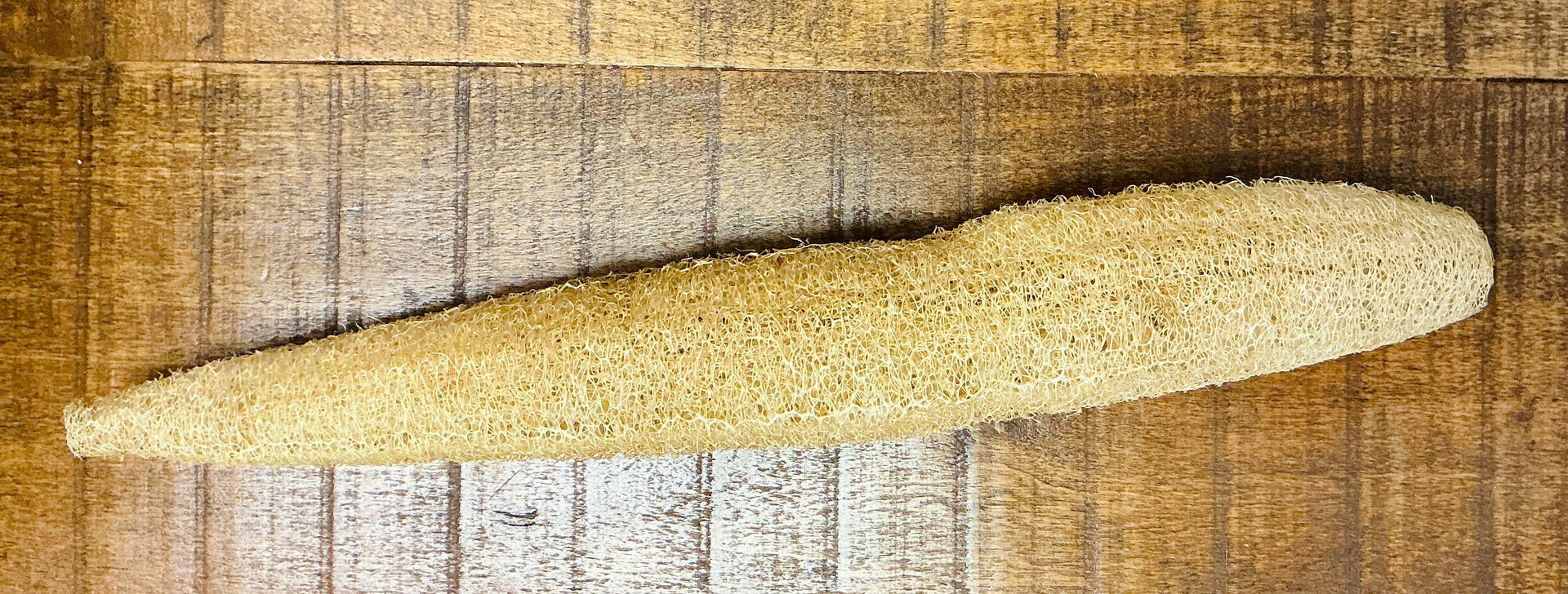 Large Plant Based Loofah Sponges