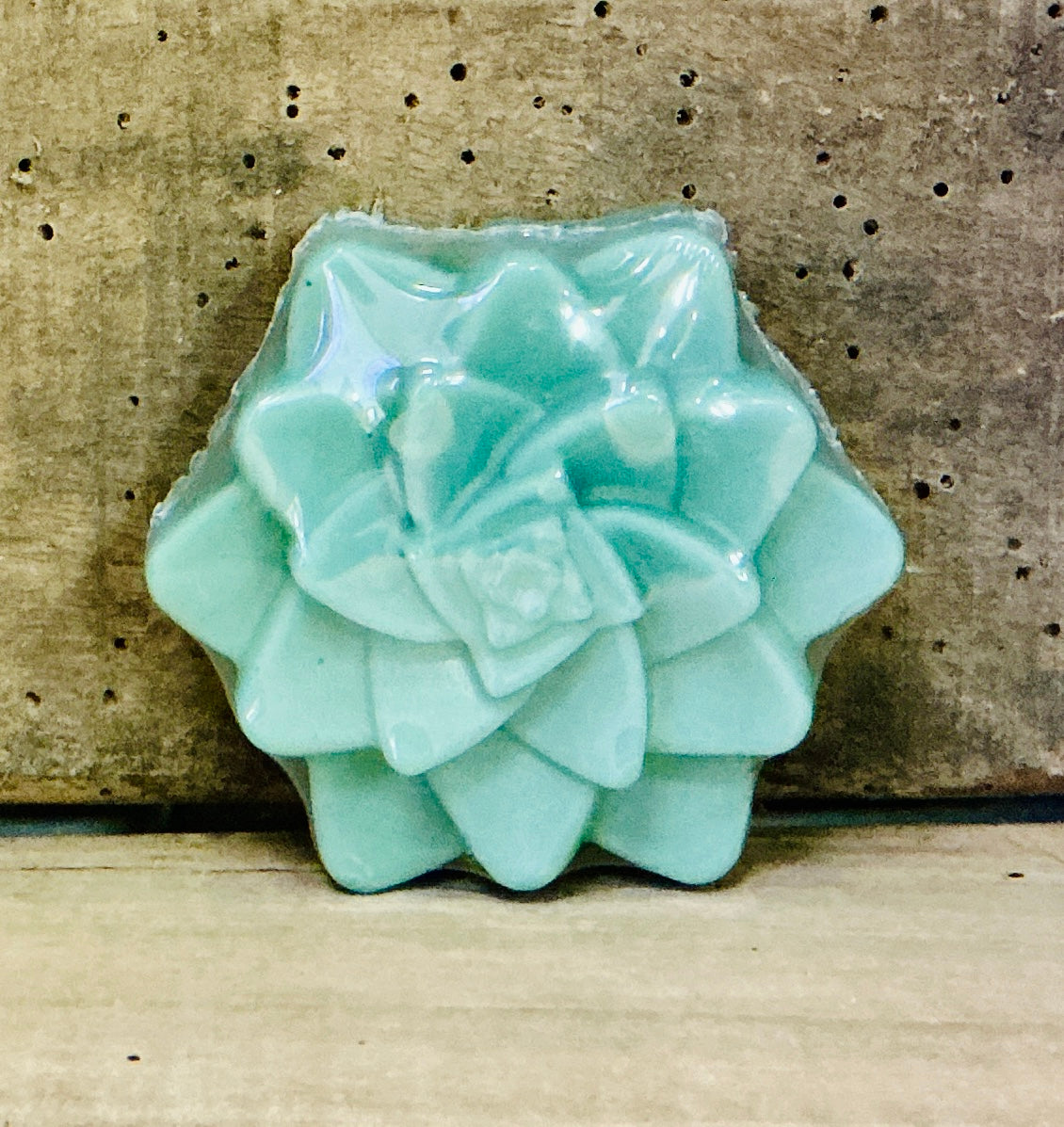 Simply Succulent - Bar Soap