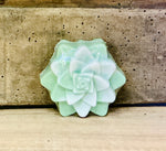 Simply Succulent handcrafted bar soap by Monticello Soap Company, succulent-shaped novelty bar with soft linen scent.