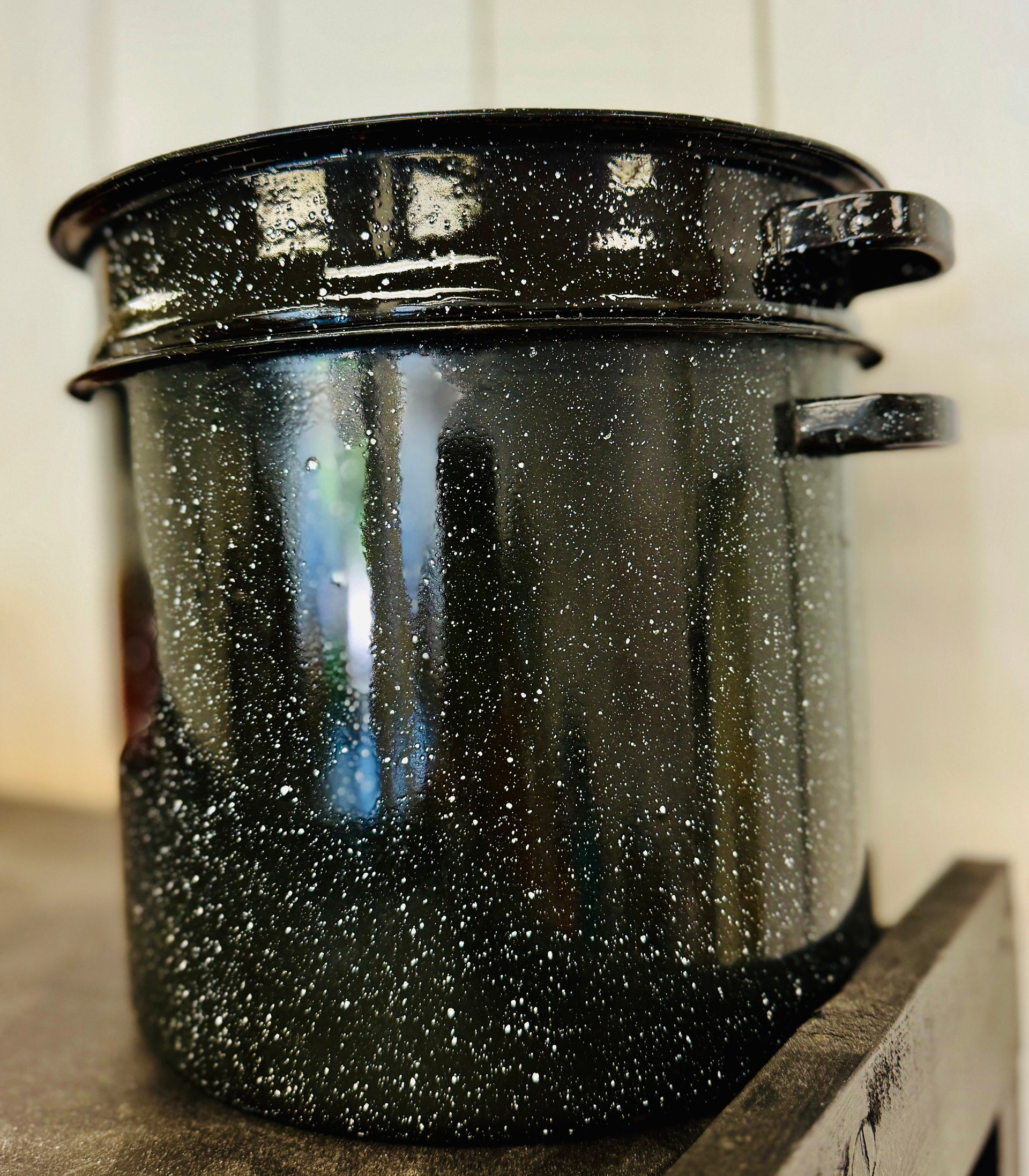 Enamel Pasta Pot