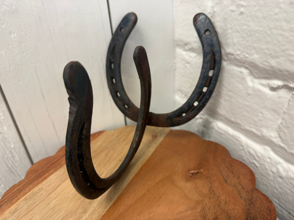 Horseshoe hooks (Random)