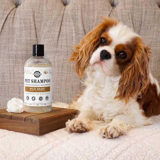 Wild Heart Pet Shampoo by the Ounce