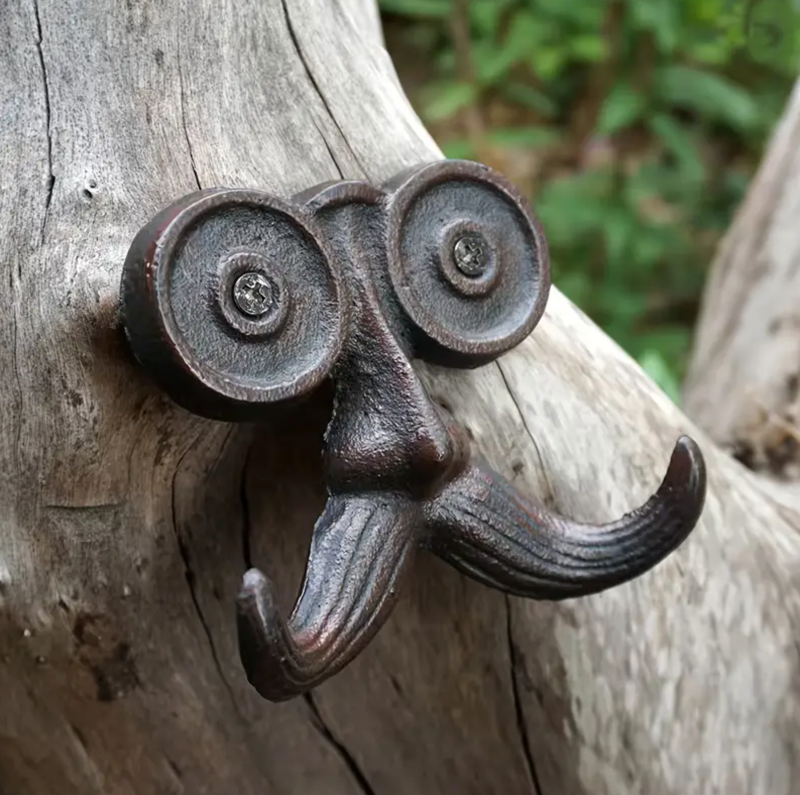 Cast Iron Mustache Wall Hook